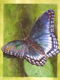 by Barbara Keith