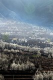 by Xiao zhuhua