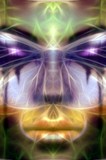 by TOMMY  BEAVER
