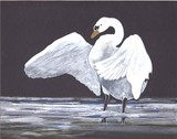 by Janet Sargent
