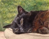 by Paul McCullen