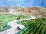 by reza goli