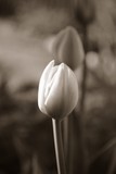 by Bill M