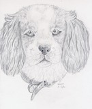 by A L Tipton