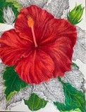 by jennifer kirton