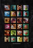 by Robert Cleere