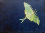by Alison Vernon