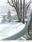 by Jane Pieriboni