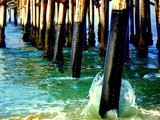 by paul myers