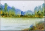 by Toneeke Runinwater Henderson