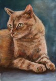 by Joan  Wulff