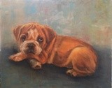 by Joan  Wulff