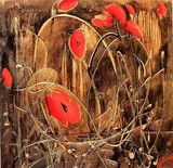 by NELU GRADEANU