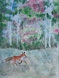 by Patricia Elgee