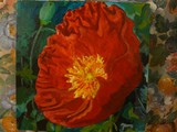 by Lianne Juster
