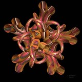 by Julie Everhart