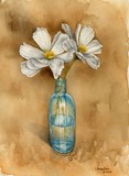 by Lucinda Troester