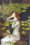 by Teresa O'Dell