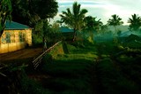 by dahlan rebo pahing