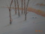 by Joanie Holliday
