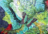 by Sheila & Tiana Wright