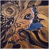 by Zita  Vilutyte