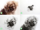 by Treasured  Portraits