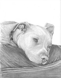by Stacey Makar