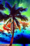 by Eric Forster