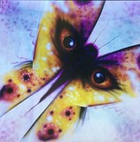 by james e. swarthout