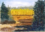 by Maria A. Bales