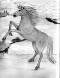 by Charlotte Berry
