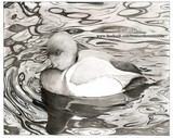 by Deborah Nicholas