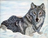 by Diane Howe