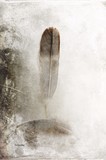 by Randi Grace Nilsberg