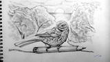 by siddhant narvekar