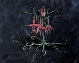 by Dana Condel
