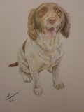 by Susan Rathbone 