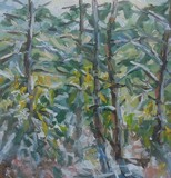 by dimitris voyiazoglou
