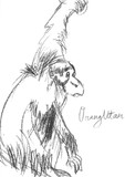 by anis yohana