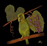 by DAVID OLSEN the FIRST