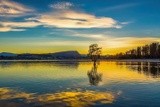 by Alexander Leo