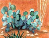 by Barbara Simcoe