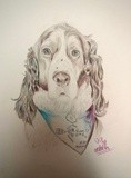by Ariella Belau