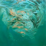 by Nathan Ratcliffe