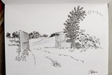 by Steen Djervad