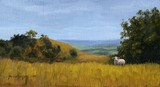 by Michael Hodgkins