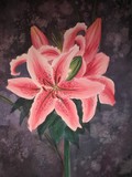 by Tanya Antimirova