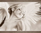 by Michelle Horvath