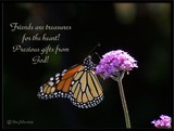 by DEE JOBES PHOTOGRAPHY